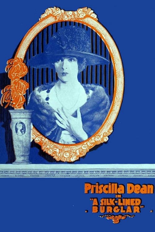 The Silk Lined Burglar poster