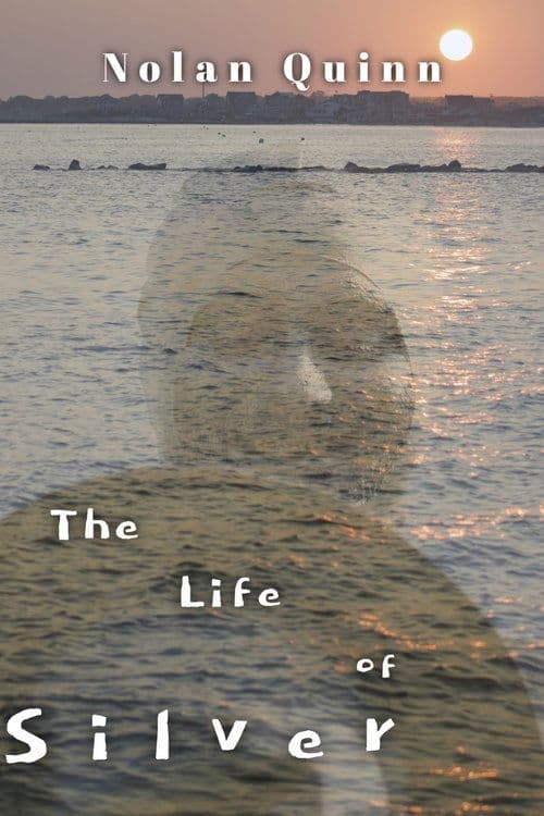 The Life of Silver poster