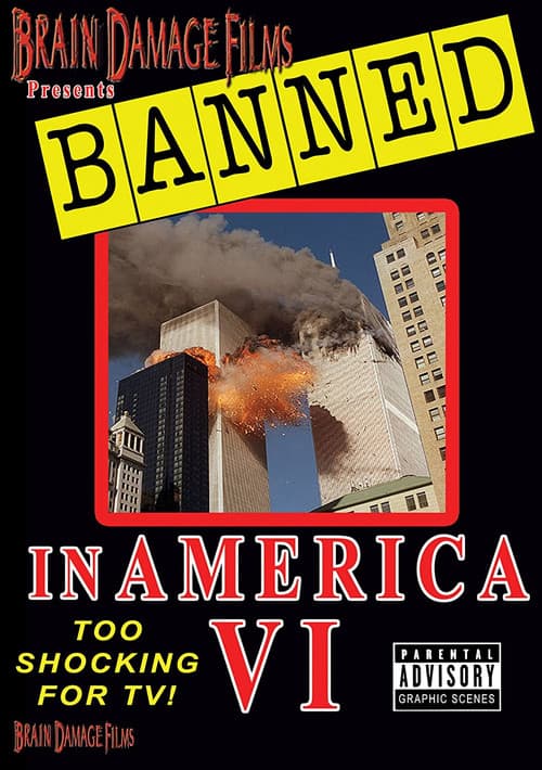 Banned! in America VI poster