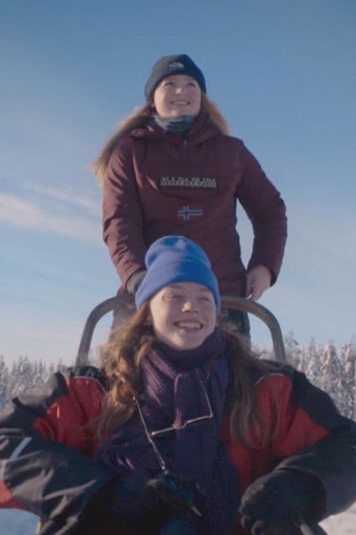 Before it gets dark poster