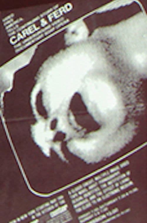 The Continuing Story of Carel and Ferd poster
