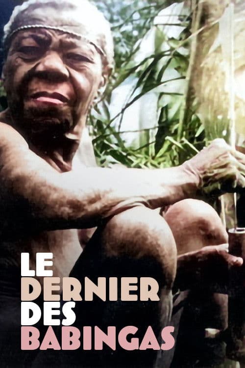 The Last of the Babingas poster