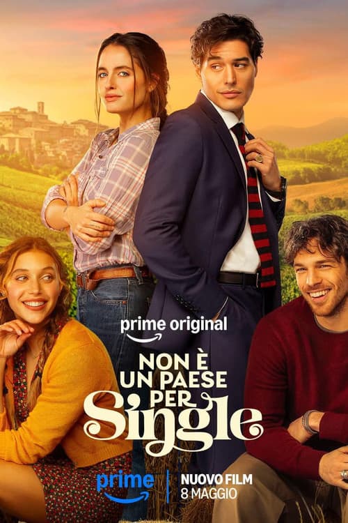 Non è un paese per single poster