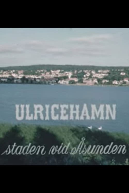 Ulricehamn, the town by Åsunden poster