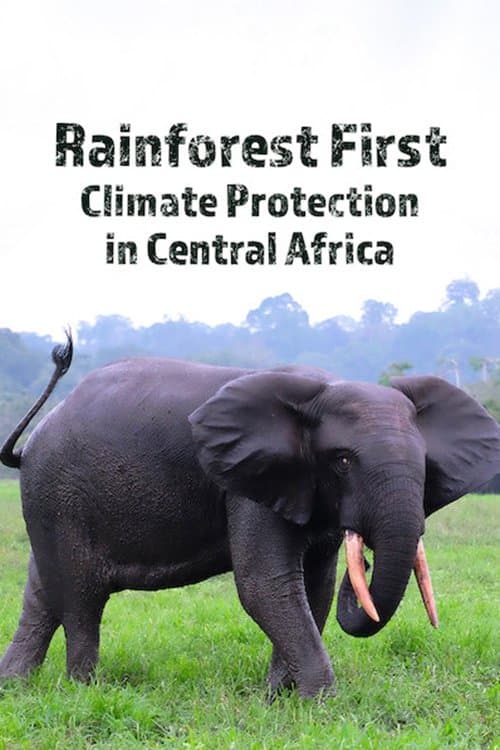 Rainforest First: Climate Protection in Central Africa poster