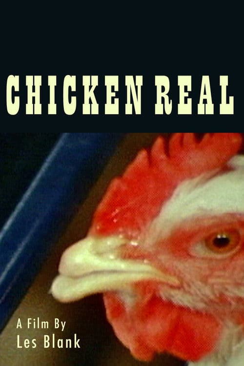 Chicken Real poster