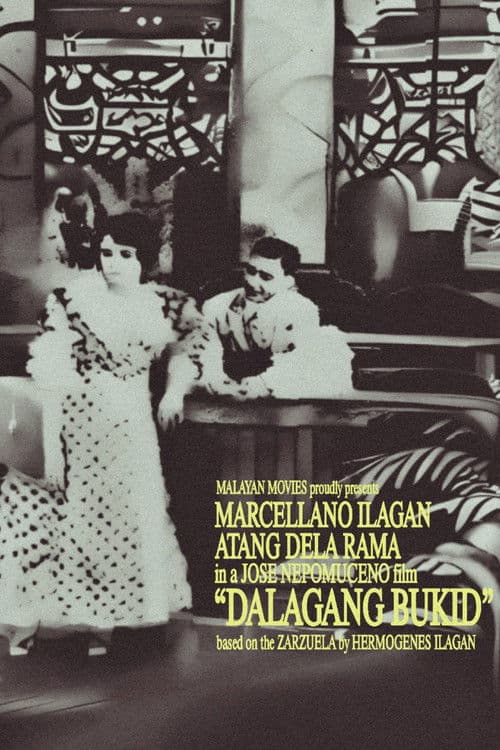 Country Maiden poster