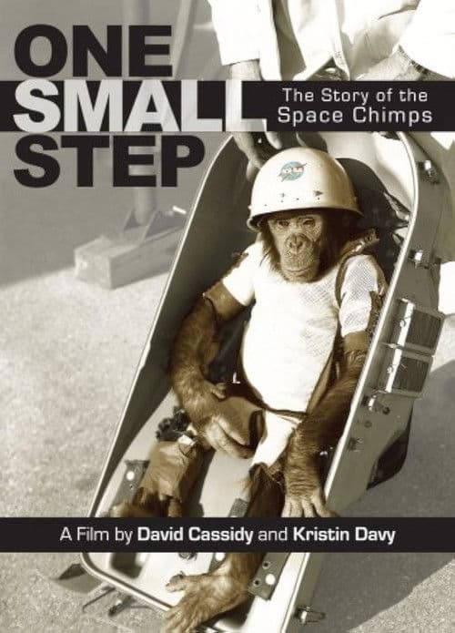 One Small Step: The Story of the Space Chimps poster