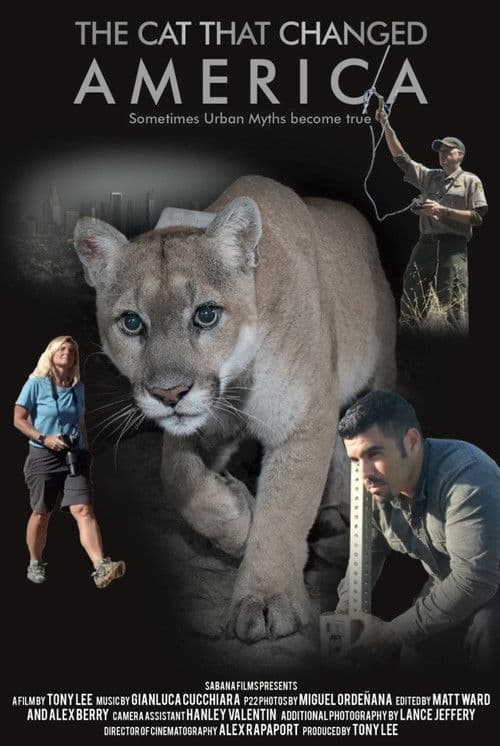 The Cat That Changed America poster