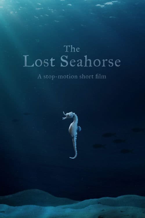The Lost Seahorse poster