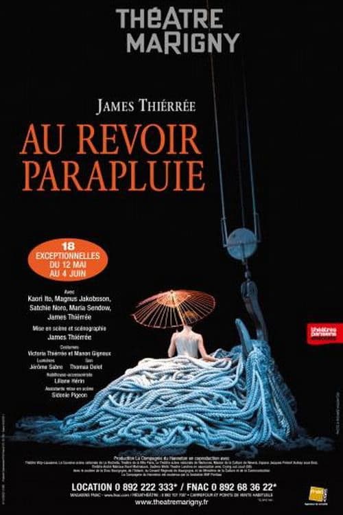 Au revoir parapluie poster