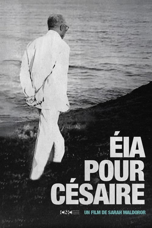 Papa Césaire poster