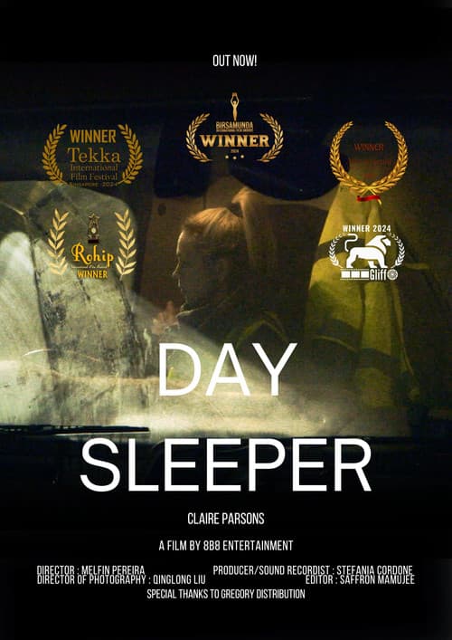 Day Sleeper poster