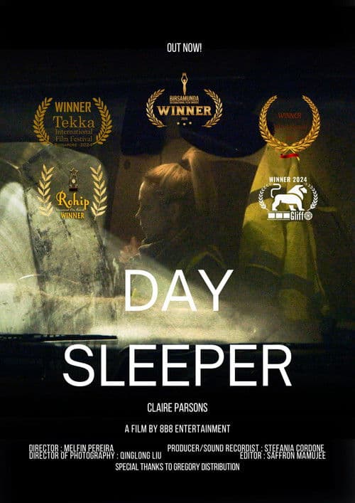 Day Sleeper poster