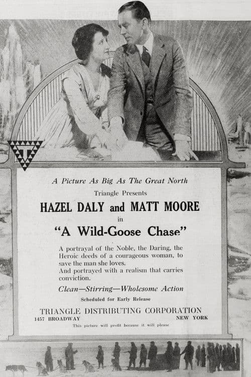 A Wild Goose Chase poster