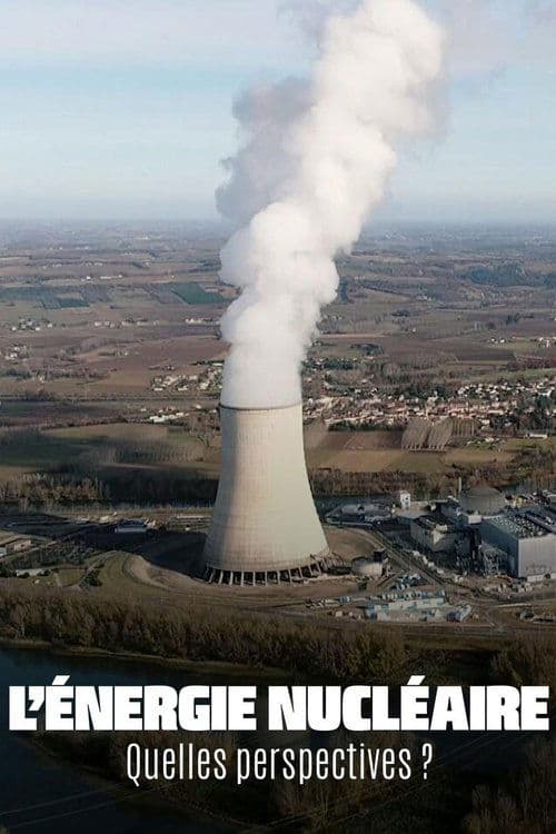 The Future of Nuclear Energy poster