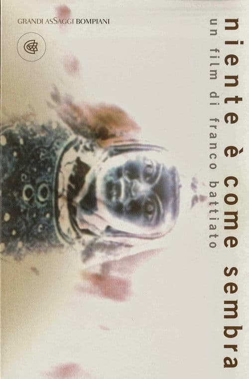 Niente Γ¨ come sembra poster