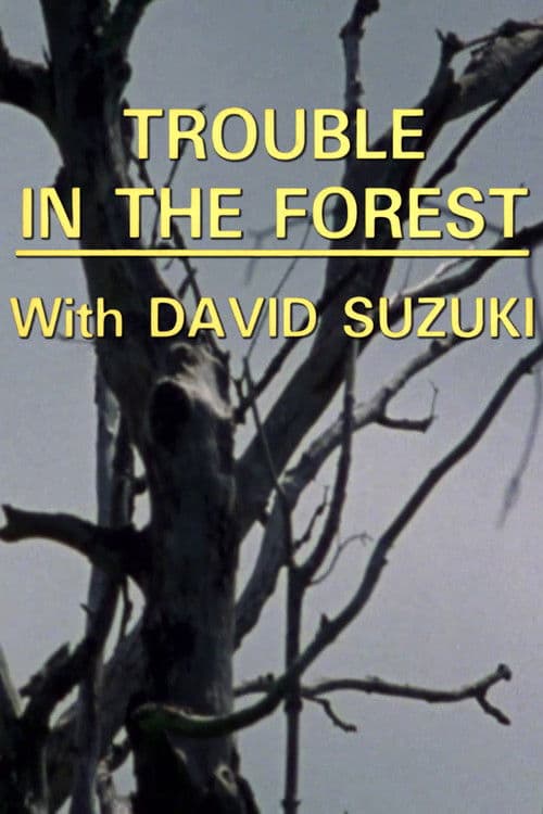 Trouble in the Forest poster
