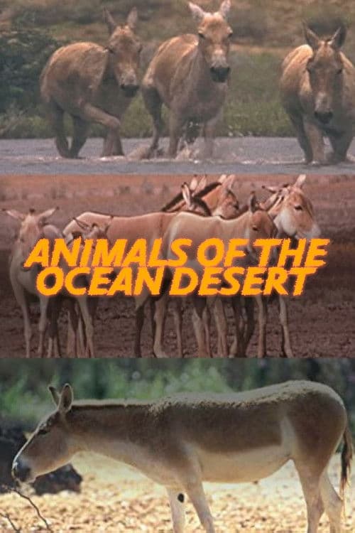 Animals of the Ocean Desert poster