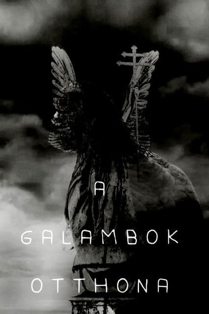 Home of Pigeons poster