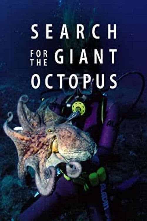 Search for the Giant Octopus poster