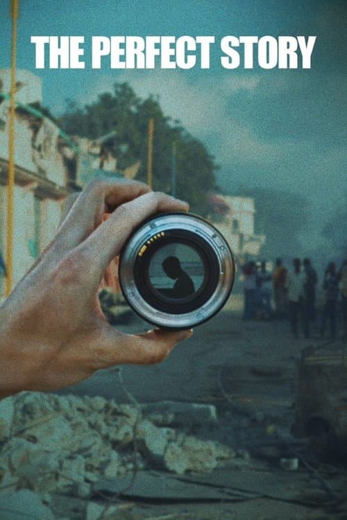 The Perfect Story poster