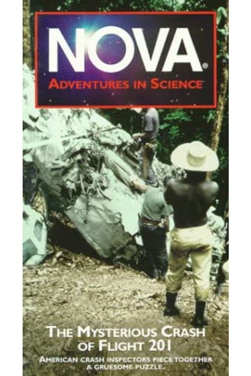 Mysterious Crash of Flight 201 poster