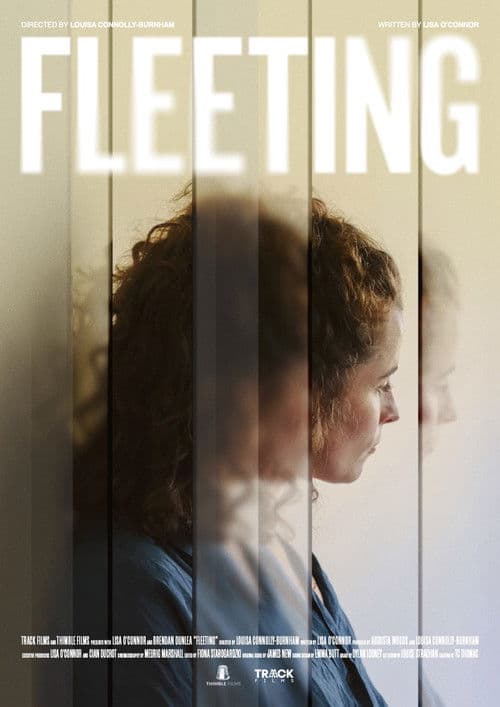 Fleeting poster