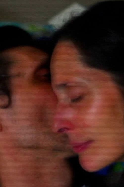 Perfecting the Art of Longing poster