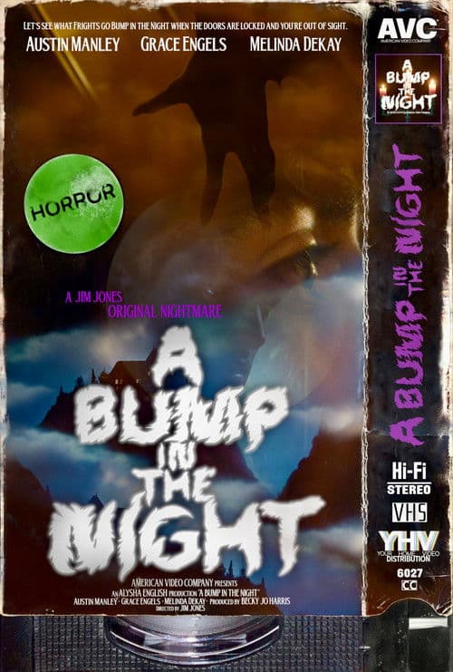A Bump in the Night poster