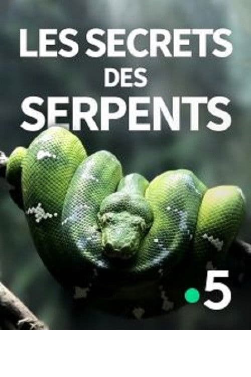 The Secrets of the Snakes poster