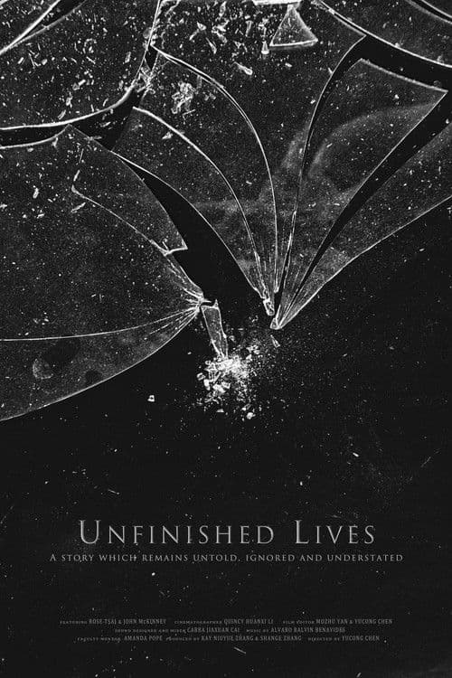 Unfinished Lives poster