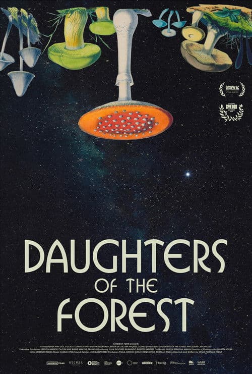 Daughters of the Forest poster